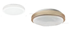 Flush Mount Ceiling Lights