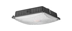 LED Canopy Lights
